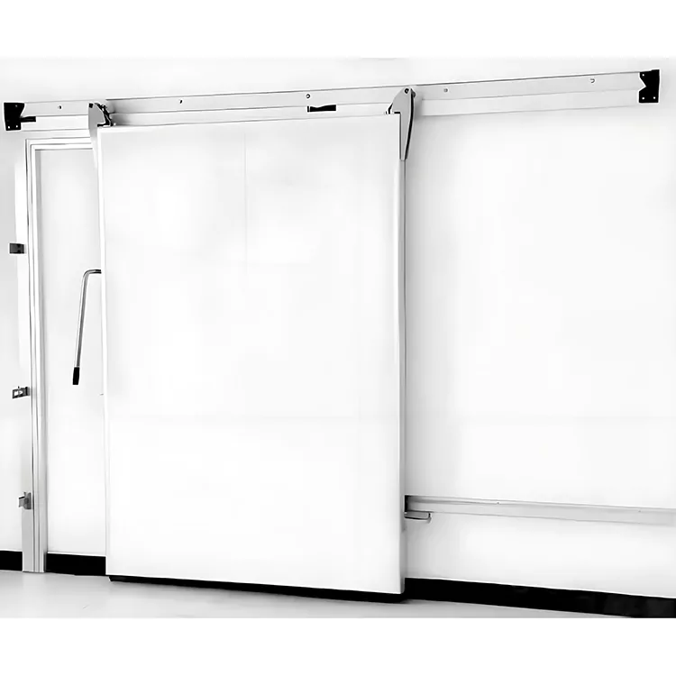 Manual Sliding Cold Storage Door